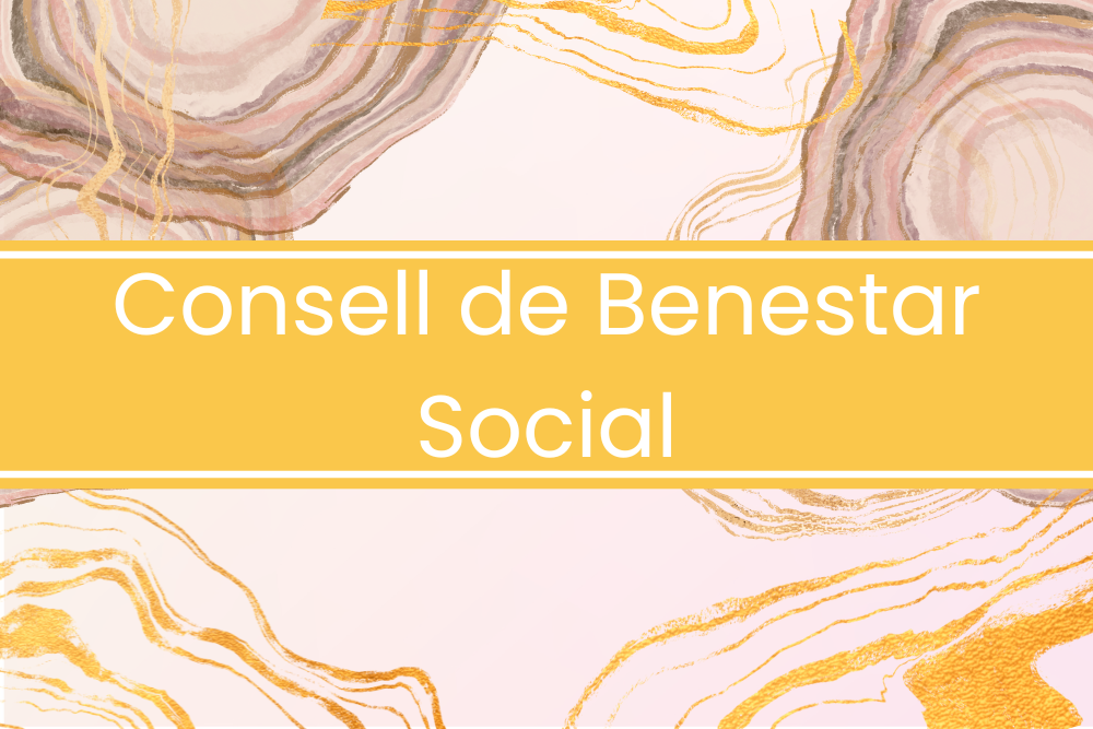 Consell Sectorial de Benestar Social
